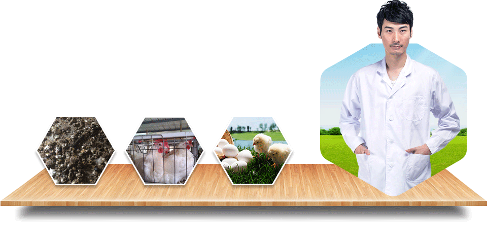 S(jng)(yn),һa(chn)(w)NĞ(w)